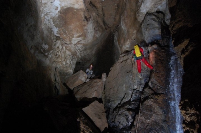  Specialized guides